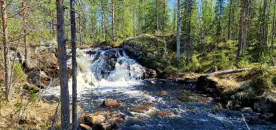 Lappiin lähes 160 hehtaaria uusia luonnonsuojelualueita – Mukana poikkeuksellisen suuri Helmi-kohde